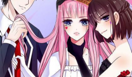 漫画公主的女王命,漫画公主的传奇征程